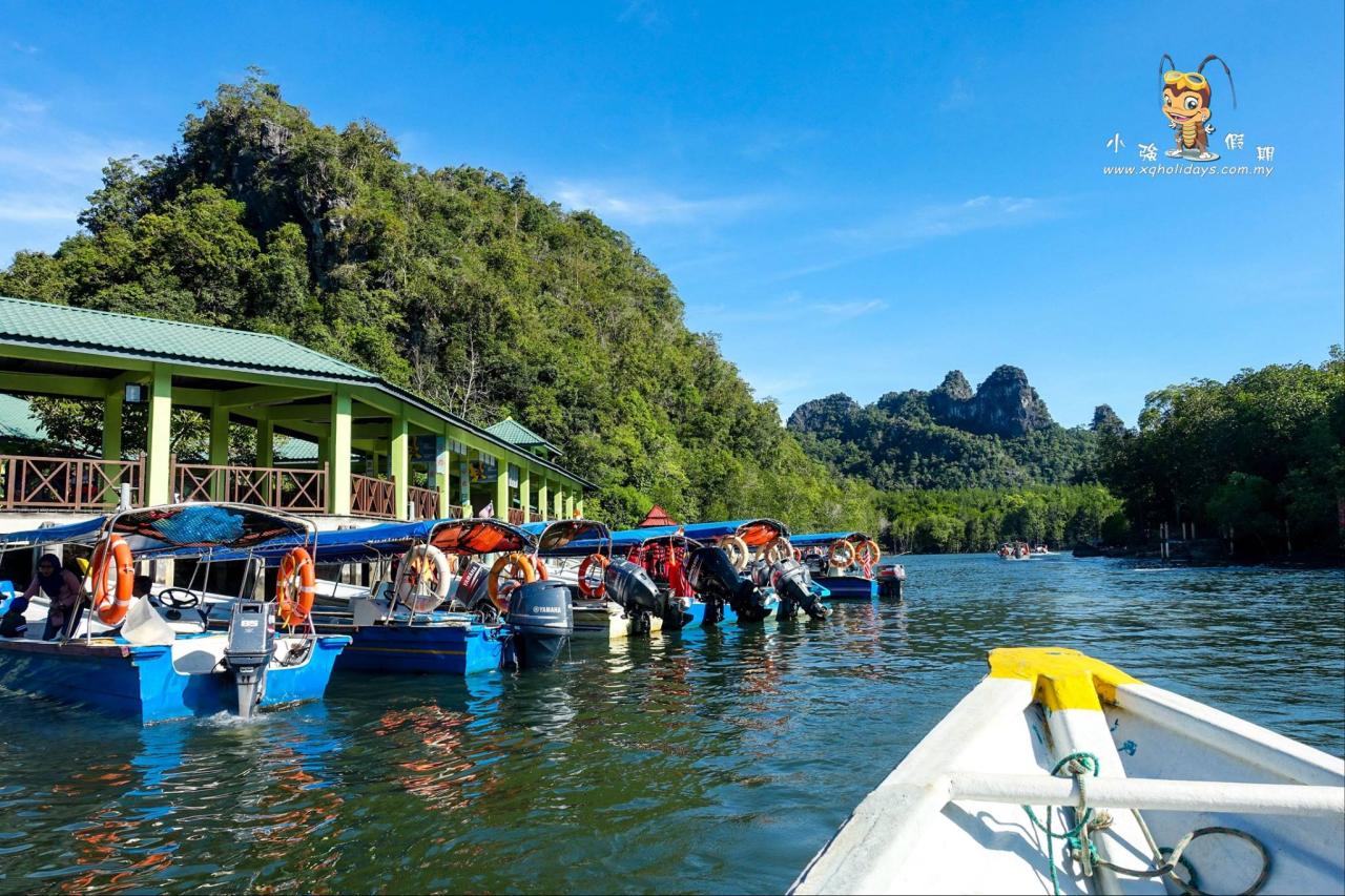 Mangrove Tour Langkawi: Jelajahi Keindahan dan Manfaat Ekosistem Pesisir